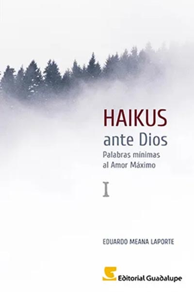 Haikus ante Dios I